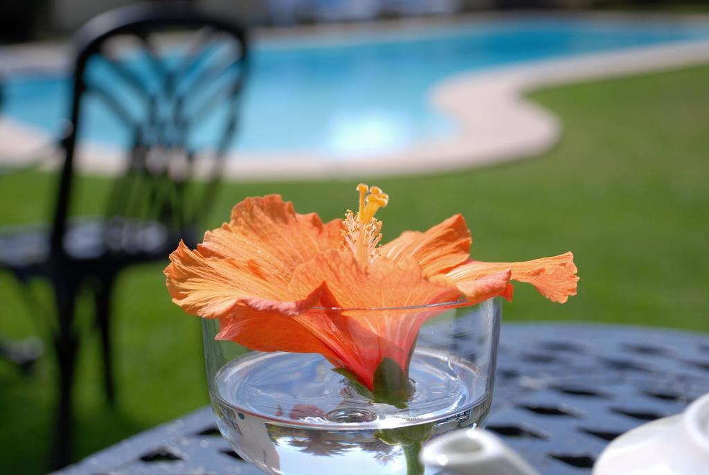 Mandalay Guest House Plettenberg Bay Exteriér fotografie